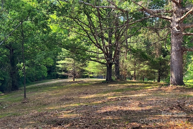 V/L Smith Knolls Road, Fairview, NC 28730 - photo 17