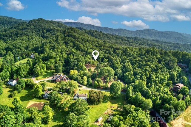V/L Smith Knolls Road, Fairview, NC 28730 - photo 19
