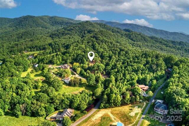 V/L Smith Knolls Road, Fairview, NC 28730 - photo 21