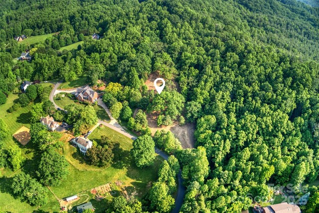 V/L Smith Knolls Road, Fairview, NC 28730 - photo 22