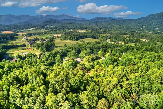 V/L Smith Knolls Road, Fairview, NC 28730 - photo 23