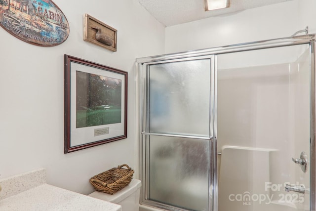 46 Thrush Dr, Maggie Valley, NC 28751 - bathroom with a shower with door, toilet, and vanity
