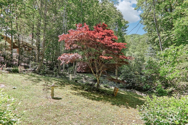 46 Thrush Dr, Maggie Valley, NC 28751 - view of grassy yard