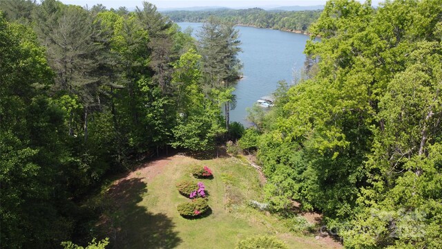 240 Goshen Ter, Wilkesboro, NC 28697 - aerial view of a heavily wooded area and a nearby body of water