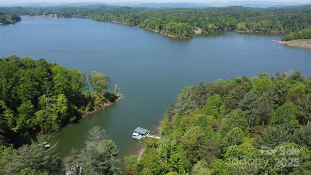 240 Goshen Ter, Wilkesboro, NC 28697 - view of property location featuring a heavily wooded area and a large body of water