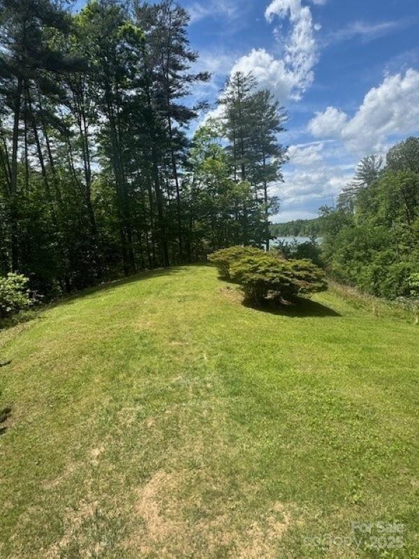 240 Goshen Ter, Wilkesboro, NC 28697 - view of grassy yard