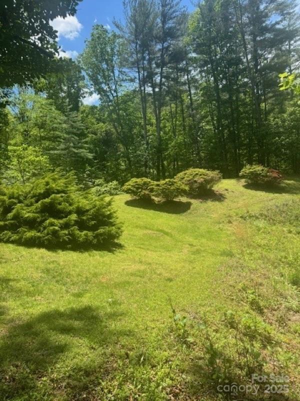240 Goshen Ter, Wilkesboro, NC 28697 - view of yard
