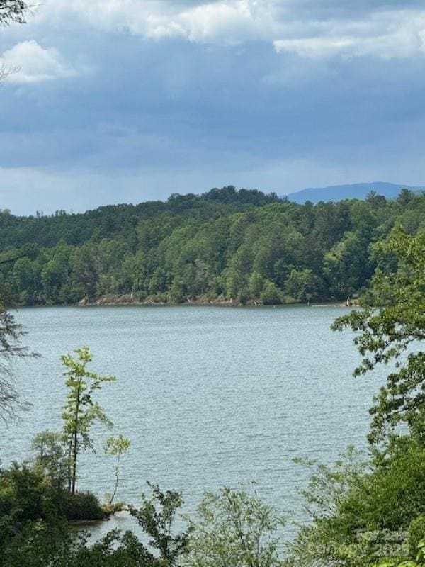 240 Goshen Ter, Wilkesboro, NC 28697 - water view with a forest