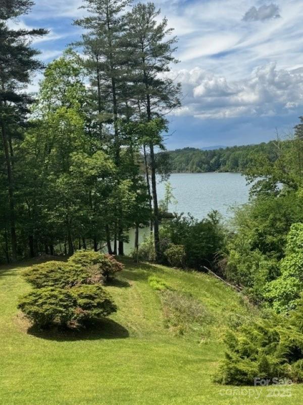 240 Goshen Ter, Wilkesboro, NC 28697 - water view with a heavily wooded area
