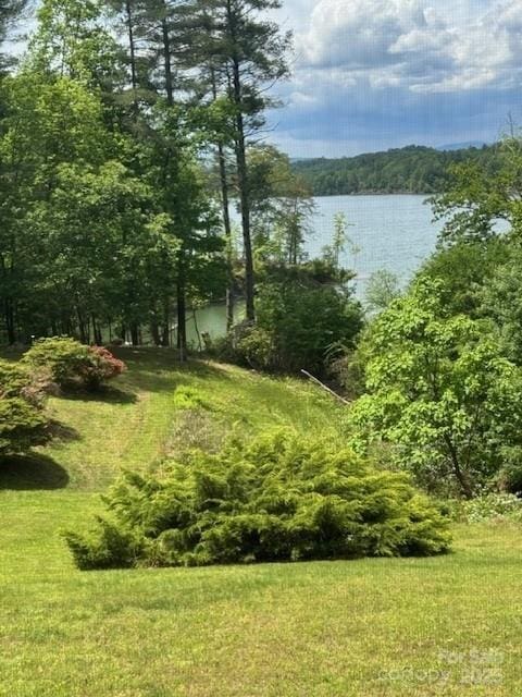240 Goshen Ter, Wilkesboro, NC 28697 - view of yard with a water view and a wooded view