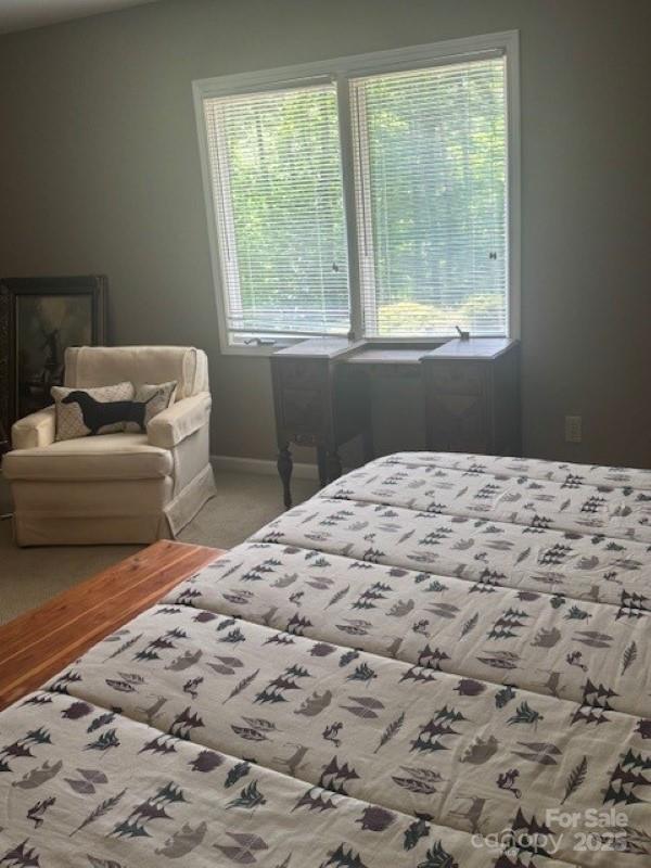 240 Goshen Ter, Wilkesboro, NC 28697 - bedroom featuring baseboards