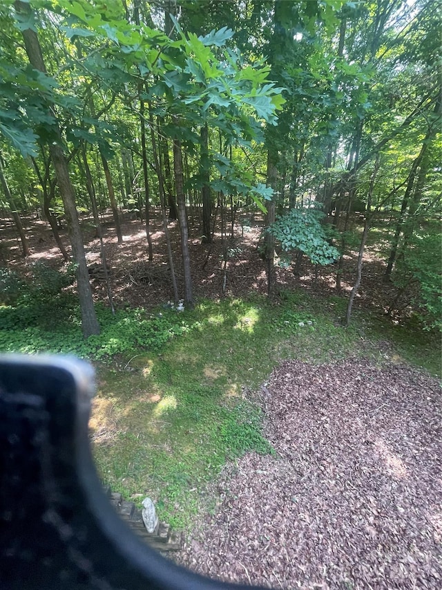 2505 White Thorne Ln, Waxhaw, NC 28173 - view of yard