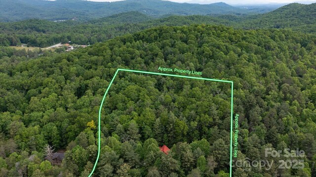 350 Stagecoach Rd, Zirconia, NC 28790 - photo 6