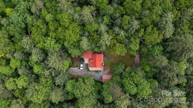 350 Stagecoach Rd, Zirconia, NC 28790 - photo 7
