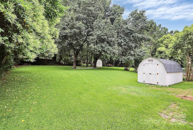 2421 Shamrock Dr, Charlotte, NC 28205 - view of grassy yard