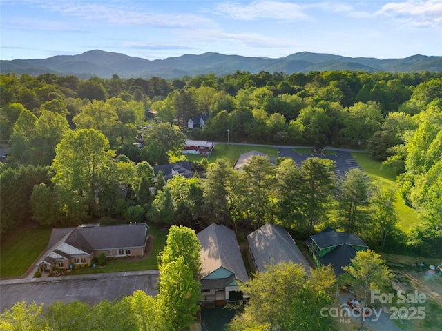 314 Gallimore Rd Unit 1, Brevard, NC 28712 - drone / aerial view of mountains and a forest
