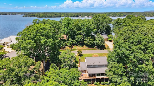 29049 Snapper Pt, Tega Cay, SC 29708 - bird's eye view of a nearby body of water