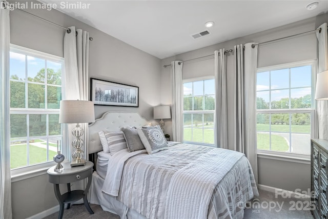 7633 Griffins Gate Dr, Concord, NC 28025 - carpeted bedroom with baseboards and multiple windows