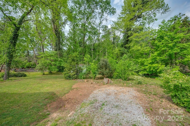 123 N Poston St, Shelby, NC 28150 - view of grassy yard featuring a forest view