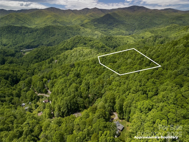 LOT21 Top Drop Ln, Sylva, NC 28779