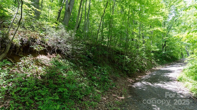 000 Roaring Creek Ln, Waynesville, NC 28785