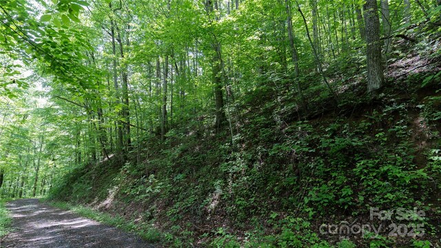 000 Roaring Creek Ln, Waynesville, NC 28785