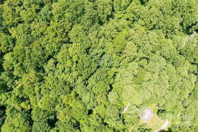 000 Roaring Creek Ln, Waynesville, NC 28785