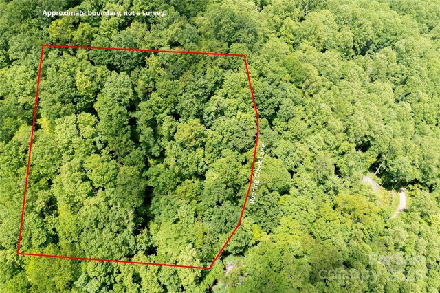 000 Roaring Creek Ln, Waynesville, NC 28785