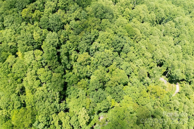 000 Roaring Creek Ln, Waynesville, NC 28785