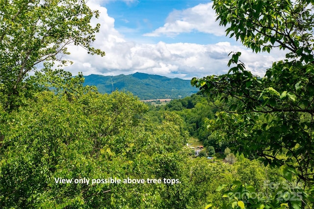 000 Roaring Creek Ln, Waynesville, NC 28785