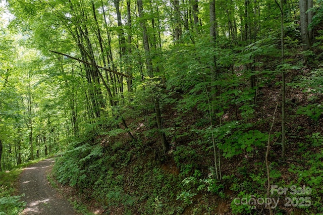 000 Roaring Creek Ln, Waynesville, NC 28785