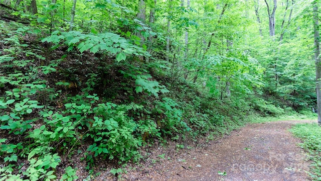 000 Roaring Creek Ln, Waynesville, NC 28785