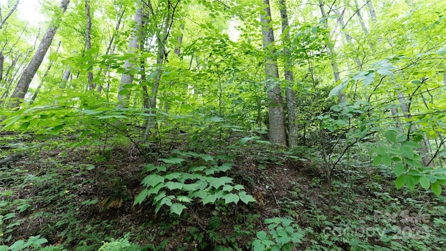 000 Roaring Creek Ln, Waynesville, NC 28785