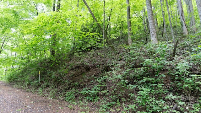 000 Roaring Creek Ln, Waynesville, NC 28785