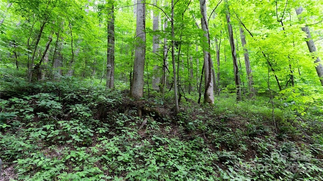 000 Roaring Creek Ln, Waynesville, NC 28785