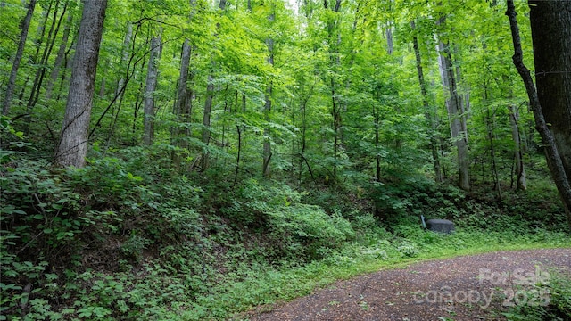 000 Roaring Creek Ln, Waynesville, NC 28785