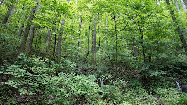 000 Roaring Creek Ln, Waynesville, NC 28785
