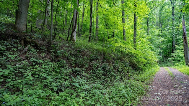 000 Roaring Creek Ln, Waynesville, NC 28785