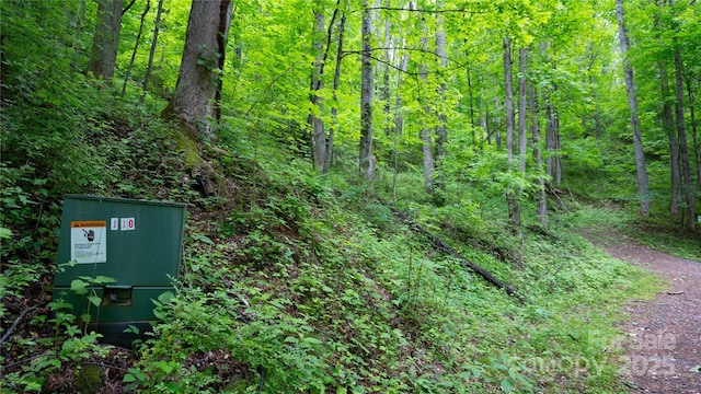 000 Roaring Creek Ln, Waynesville, NC 28785