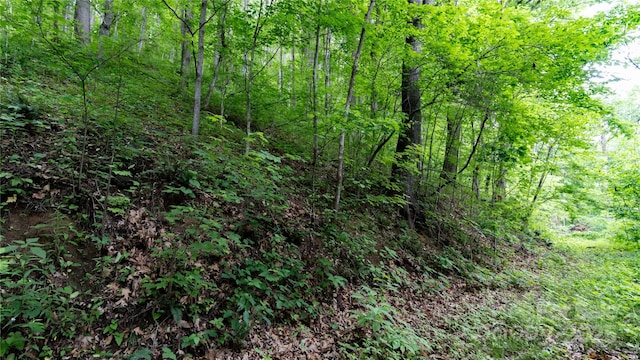000 Roaring Creek Ln, Waynesville, NC 28785