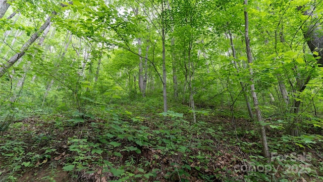 000 Roaring Creek Ln, Waynesville, NC 28785