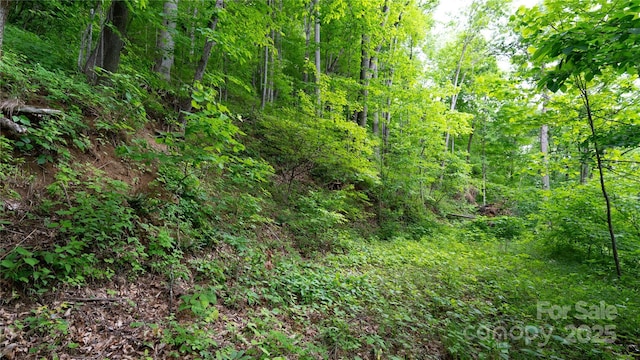 000 Roaring Creek Ln, Waynesville, NC 28785