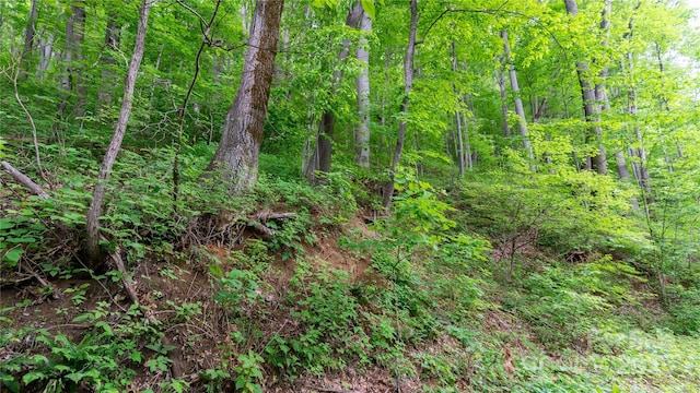 000 Roaring Creek Ln, Waynesville, NC 28785