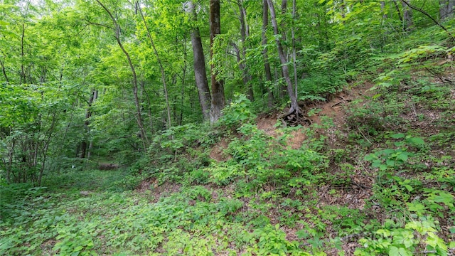 000 Roaring Creek Ln, Waynesville, NC 28785