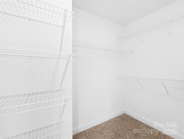 4809 Mossy Cup Ln, Monroe, NC 28110 - walk in closet featuring carpet