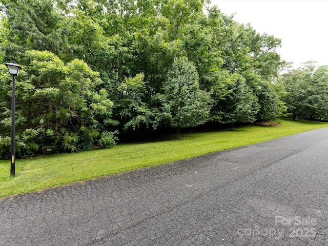 5816 Valley Stream Trl, Waxhaw, NC 28173 - view of road featuring street lights