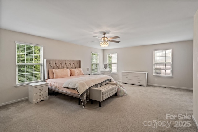 12923 Plumleaf Dr, Charlotte, NC 28213 - photo 13