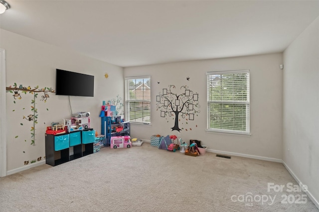 12923 Plumleaf Dr, Charlotte, NC 28213 - photo 20