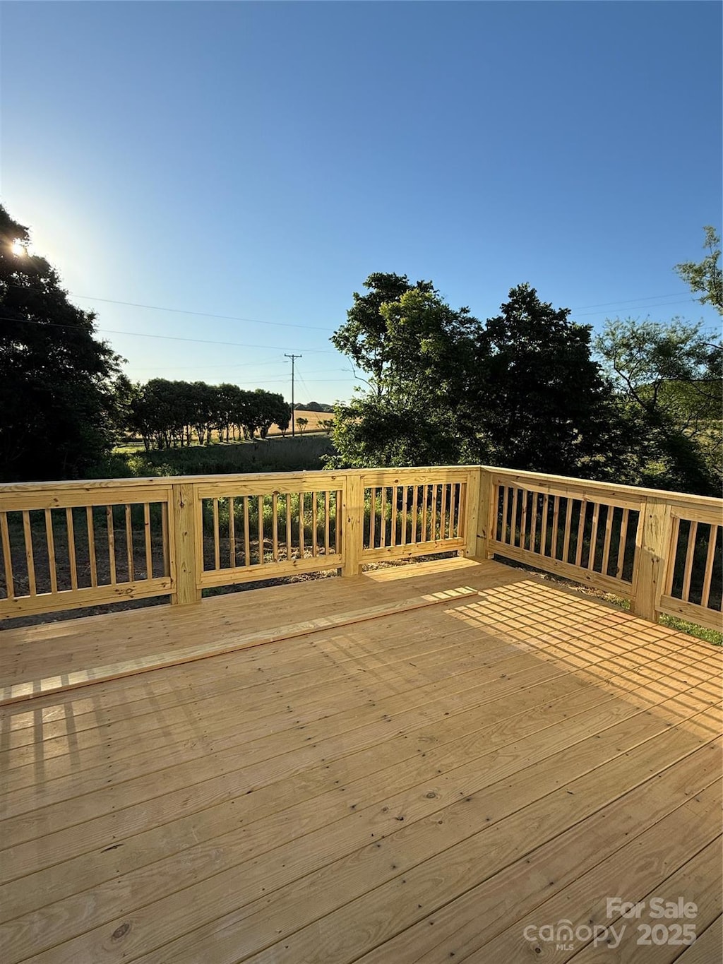 1308 Austin Chaney Rd, Wingate, NC 28174 - view of wooden deck