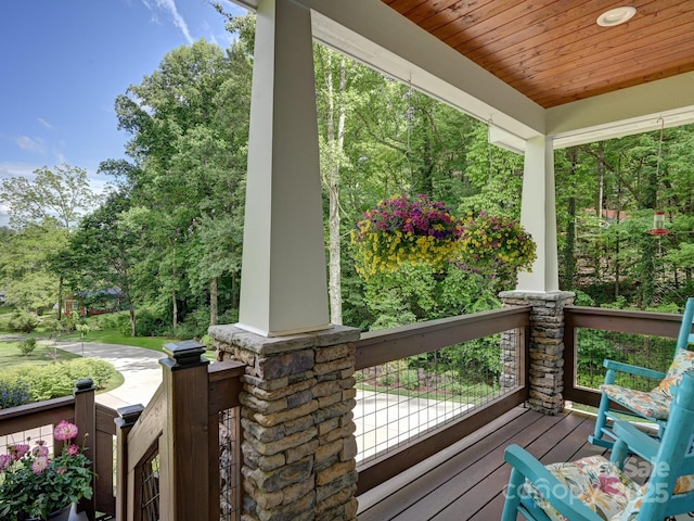 26 Addison Fisher Way, Asheville, NC 28805 - view of porch